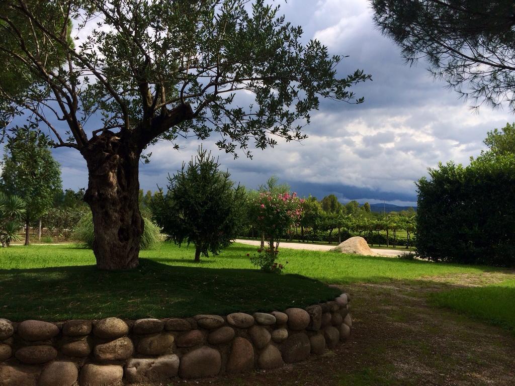 Agriturismo Ca' La Pergola Lugagnano Ngoại thất bức ảnh