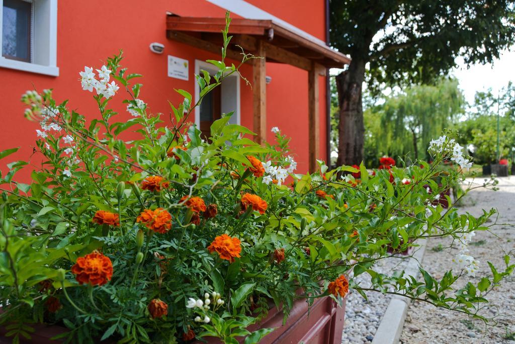 Agriturismo Ca' La Pergola Lugagnano Ngoại thất bức ảnh