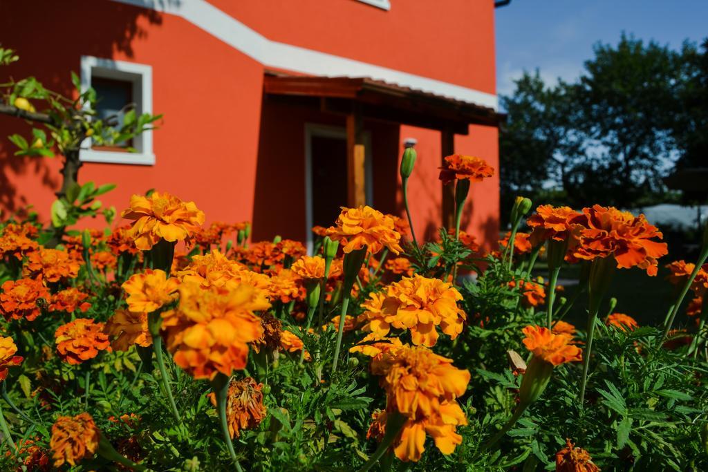 Agriturismo Ca' La Pergola Lugagnano Ngoại thất bức ảnh