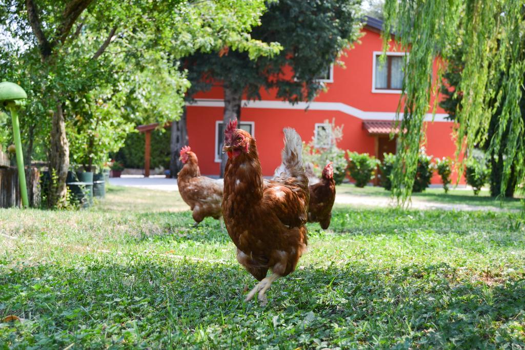 Agriturismo Ca' La Pergola Lugagnano Ngoại thất bức ảnh