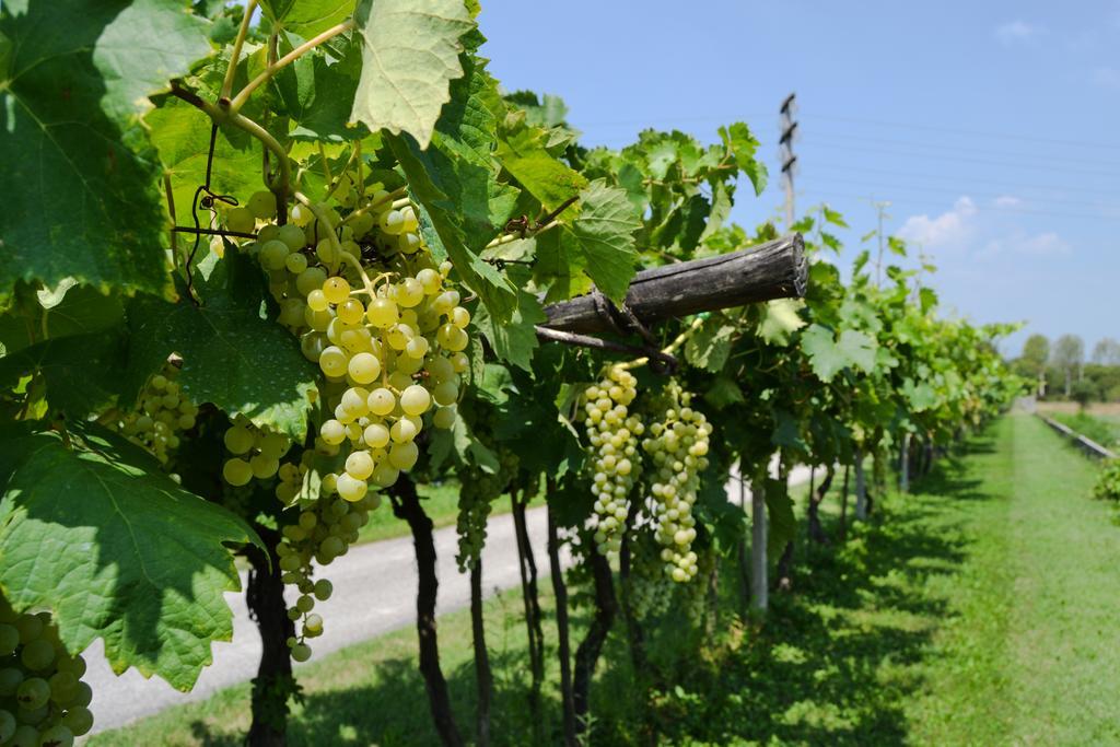 Agriturismo Ca' La Pergola Lugagnano Ngoại thất bức ảnh
